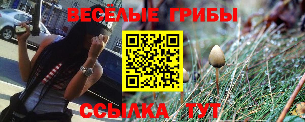 Псилоцибиновые грибы Magic Shrooms  Псилоцибиновые грибы GOLDEN TEACHER  Щёлково  Вход с VPN 