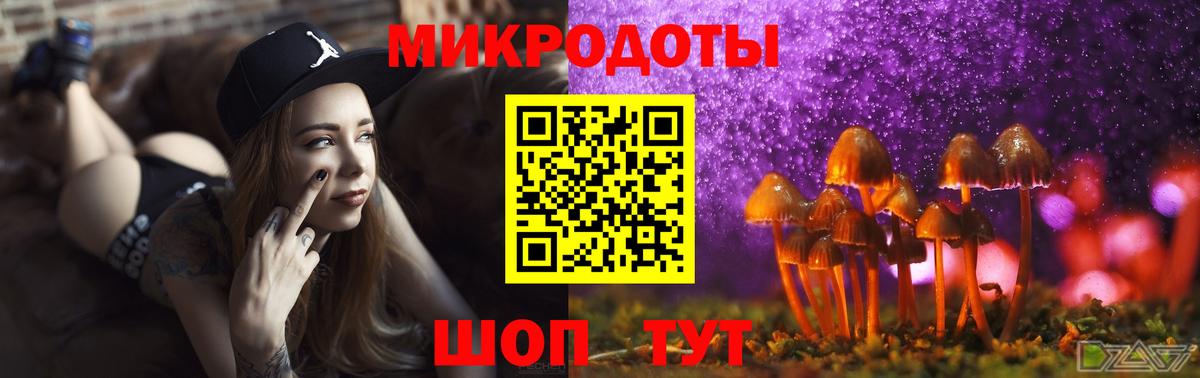 Галлюциногенные грибы мухоморы Щёлково